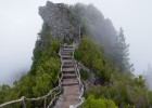 探索卵泡成熟，了解卵泡正常多大会排卵